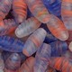 Contas de Murano Tatuzinho Coral Azul Cristal 9533 14mm
