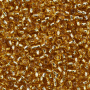 Micanga Jablonex Ouro Novo Transparente 17020 20  6,1mm