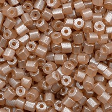 Vidrilho Color By Marrom Malva 18500L 2x9/0=2,6mm