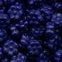 Contas de Murano Margarida Fosca Azul 33070 8mm