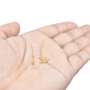 Micanga Redonda Miyuki Seed Bead Metalico Gold 110  2,0mm 11- 91052