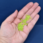Micanga Redonda Miyuki Seed Bead Fosco Chartruese 110  2,0mm 11- 9416