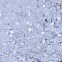 Vidrilhos Jablonex Quadrado Cristal Transparente T Aurora Boreal 58135 2,6x2,6mm
