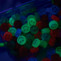 Micanga Smile Colorido Transparente Neon 10x6mm
