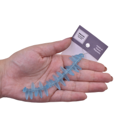 Contas de Murano Folha Dentinho Matte Água 60010 6x16mm