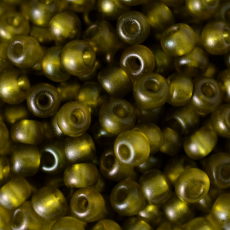 Miçanga Color By Olivine Transparente 50230L 5/0 = 4,6mm