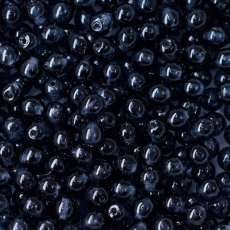 Contas de Porcelana Gemstones Cinza Escuro 64439 4mm