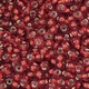Micanga Jablonex Vermelho Transparente 97070 60  4,1mm