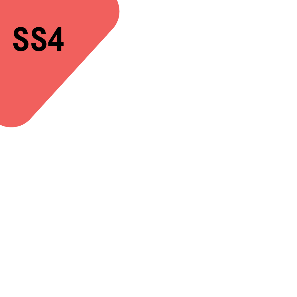 SS4